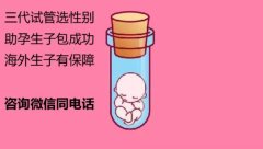 上海供卵公司：坤和助孕中心分享成功助孕案例